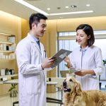 Nourishing the Golden Years: A Complete Guide to Senior Dog Nutrition