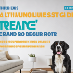 The Ultimate Guide to Choosing the Best Dog Food for Your Canine Companion