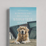 The Ultimate Guide to Pet Supplements: Enhancing Your Furry Friend’s Health and Longevity